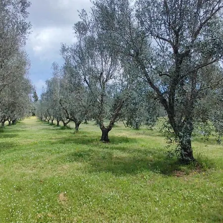 Dimora Donna Rita - Monolocale In Locazione Turistica Guest house